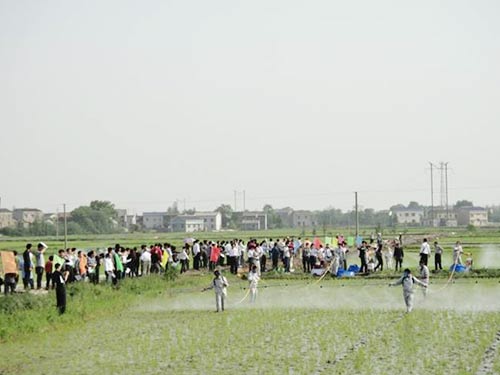 2012農(nóng)作物病蟲害專業(yè)化統(tǒng)防統(tǒng)治服務(wù)組織參觀我公司望城現(xiàn)場演示會