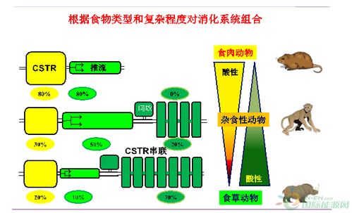王凱軍 沼氣新技術發展及產品高值化利用