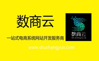 數(shù)商云 b2b電子商務(wù)系統(tǒng)平臺建設(shè)開發(fā),必要的準備有哪些