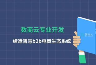 數(shù)商云專業(yè)開發(fā),締造智慧b2b電商生態(tài)系統(tǒng)